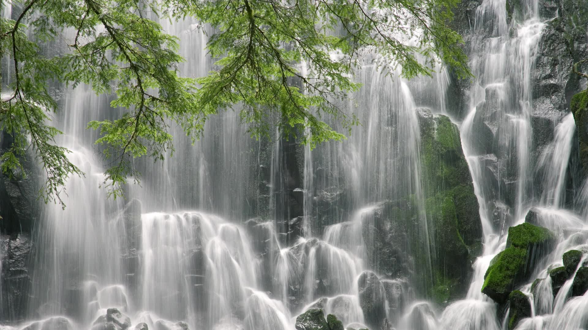 世界体操团体赛冠军队员参与公益拍卖,世界体操联赛